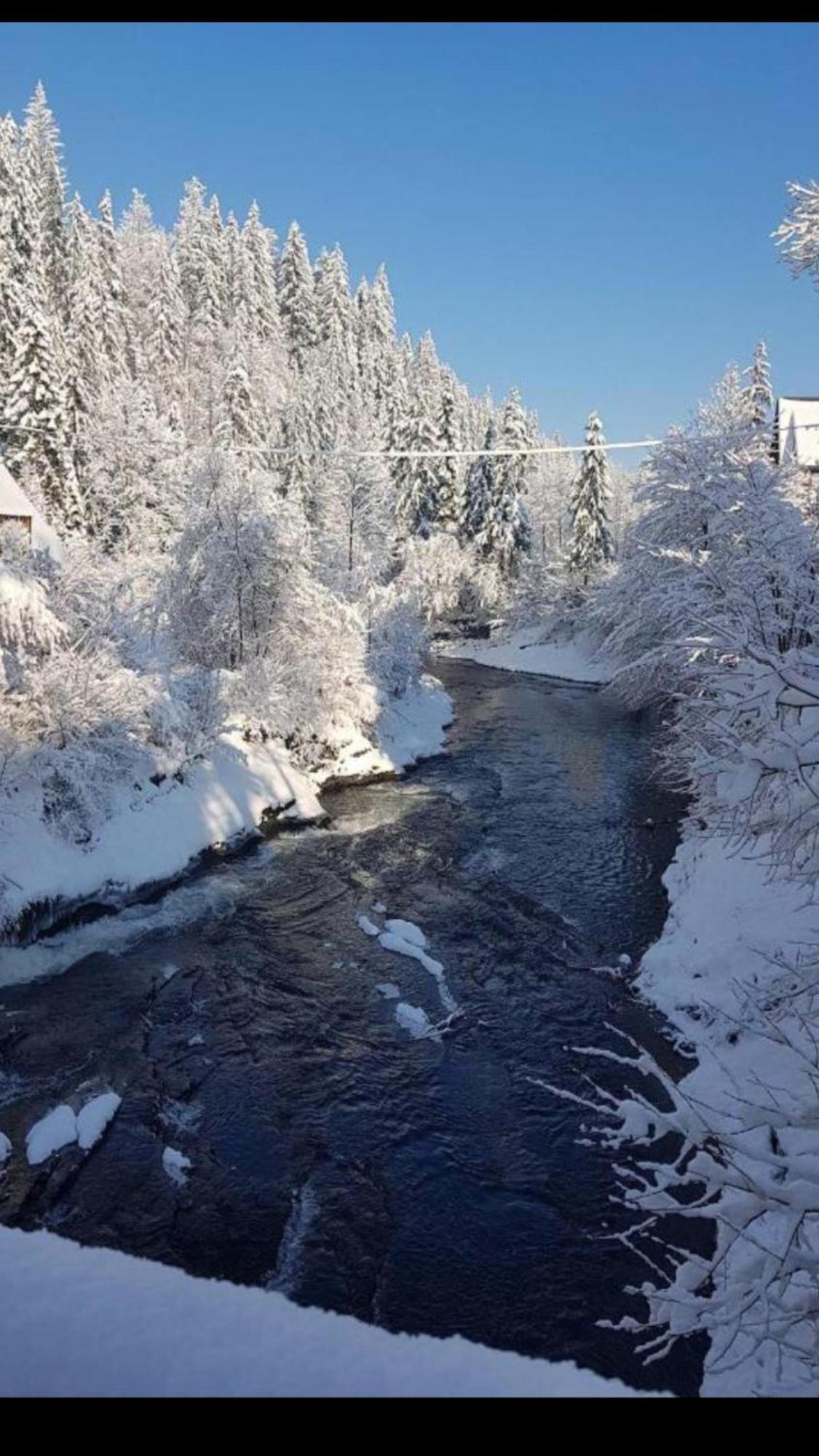 Apartamenty I Pokoje U Staszelow Poronin Esterno foto