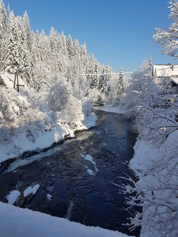 Apartamenty I Pokoje U Staszelow Poronin Esterno foto