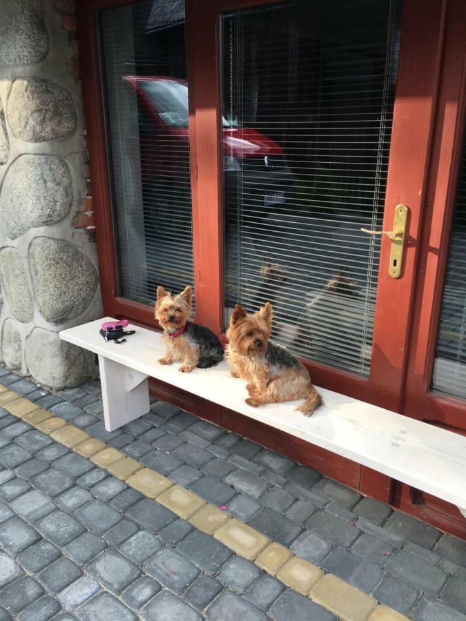Apartamenty I Pokoje U Staszelow Poronin Esterno foto